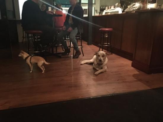 The Eveleigh Hotel Restaurant